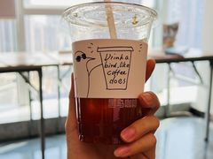 西柚冷萃-卖呆儿咖啡(望京店)