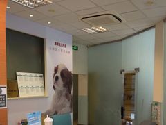 -瑞派申生动物医院·24H夜诊·国际动物医疗中心·骨外科(吴中路店)