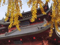 -上海东林寺(金山区)