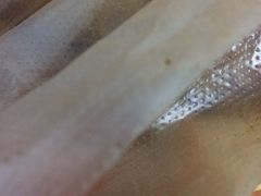 -潘太师炸鸡腿(中茵海华广场店)