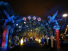 -锦江乐园舞狸花花游园会(夜场专享)