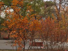 -元大都城垣遗址公园