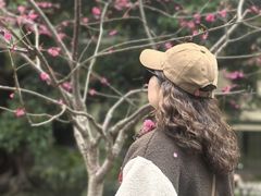 -南溪山景区