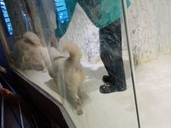 -重庆欢乐海底世界
