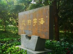 -宋井风景区