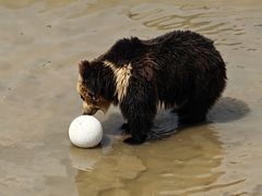 -青藏高原野生动物园