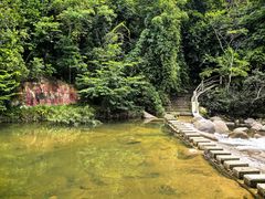 -海南热带雨林国家公园吊罗山景区