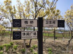 -绿堤公园
