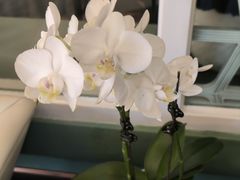 -南堂馆·新川菜(春熙路店)