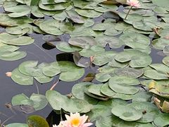 -尚贤河湿地