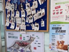 -宠颐生中康贝怡动物医院