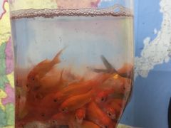 -华声天桥民俗文化园