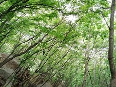 -北京密云天门山风景区