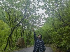 -大连天门山国家森林公园