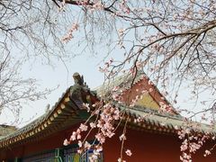 -桃花堤公园