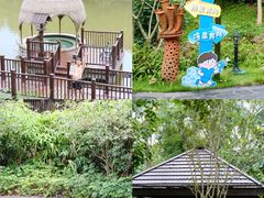 -美的鹭湖森林度假区