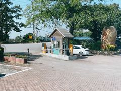 -大湾区中央湿地公园