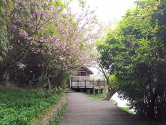 -贵阳市花溪国家城市湿地公园