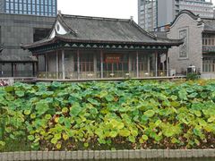 -龙潭水乡