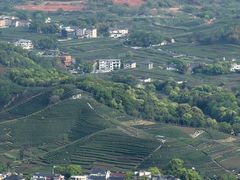 -午潮山国家森林公园