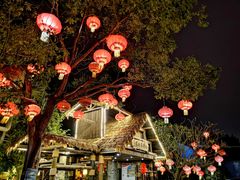 -园林美食城·本土农家菜(杨和镇店)