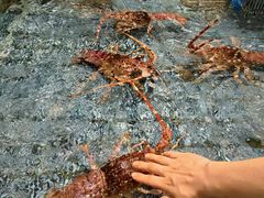 -顺风山庄(水濂山店)