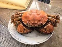 -星河湾半岛酒店·意咖啡西餐厅