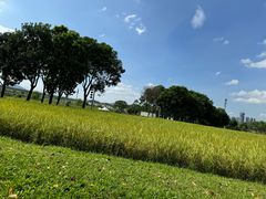 -光明小镇欢乐田园