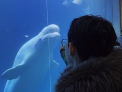 -大连圣亚海洋世界