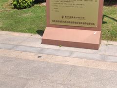 -盘龙城国家考古遗址公园