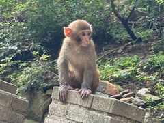 -山西通天峡景区
