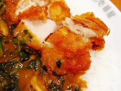 -COCO壱番屋(北京平安国际金融中心店)