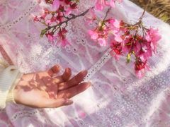 -天适樱花悠乐园