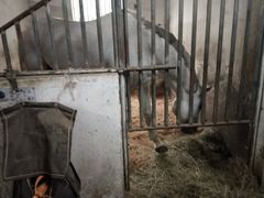 -月河湾马术俱乐部(朝阳店)