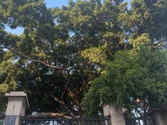 -八卦楼风琴博物馆