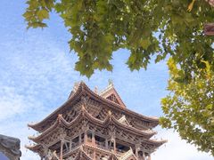 -飞云楼