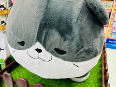 -玩具反斗城(海港城店)