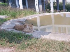 -西安秦岭野生动物园