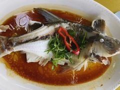 -八仔大富楼·河鲜(西江店)