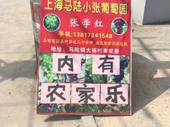 -马陆小张葡萄园农家乐