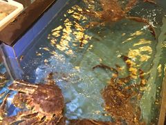 -古韵轩·江浙融合菜(梁溪店)