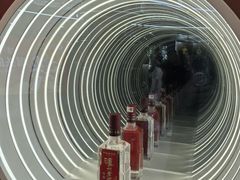 -泸州老窖景区