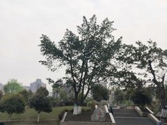 -沙河三洞古桥公园