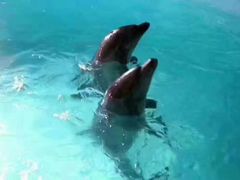 -波塞冬旅游度假区