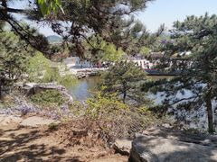 -北京西山国家森林公园