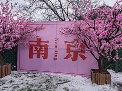 -老门东历史文化街区