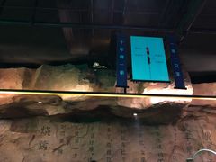 -很久以前羊肉串(清河店)