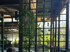 -野蔓果·山野菜(西湖景区·龙井茶田店)