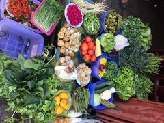 苍洱春饭店-苍洱春饭店