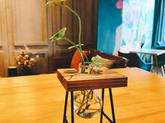 -ZING COFFEE 镜咖啡